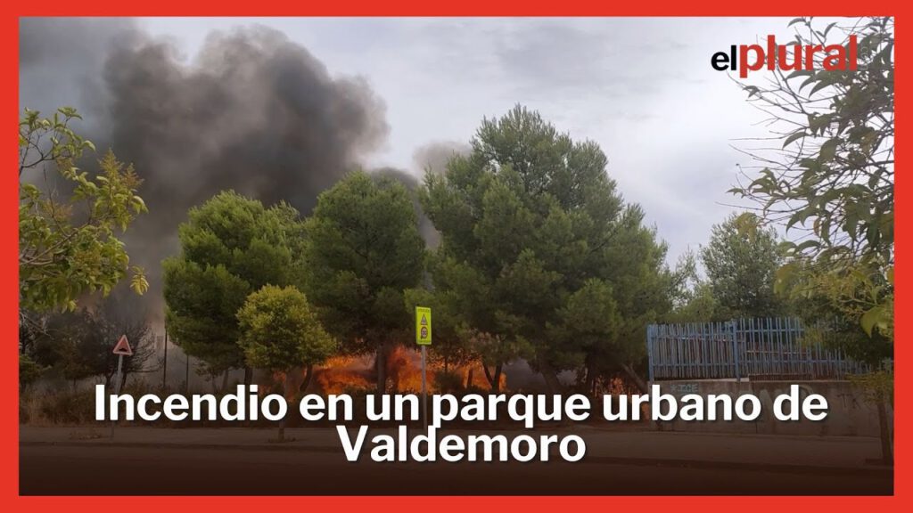 Incendio en un parque urbano de Valdemoro